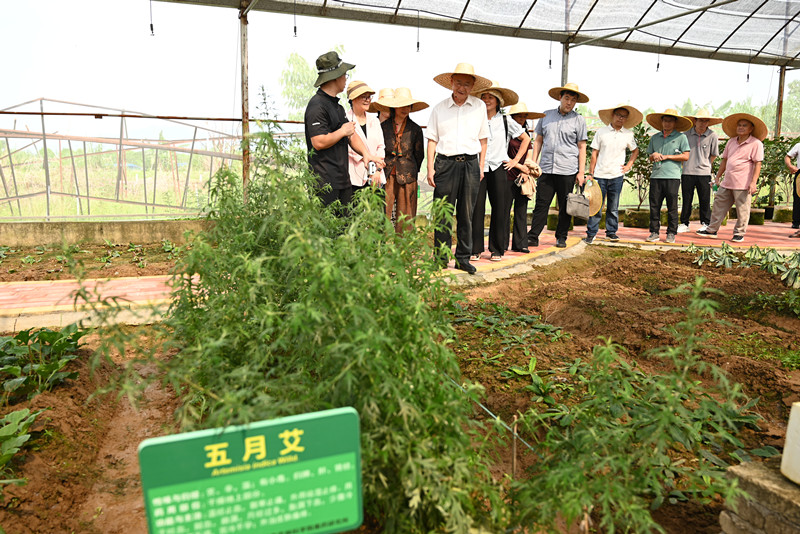 30e8494f1048234bc06ee4c934d7375 30e8494f1048234bc06ee4c934d7375